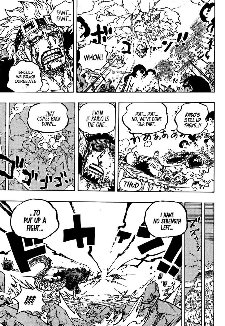 One Piece, Chapter 1041 image 13