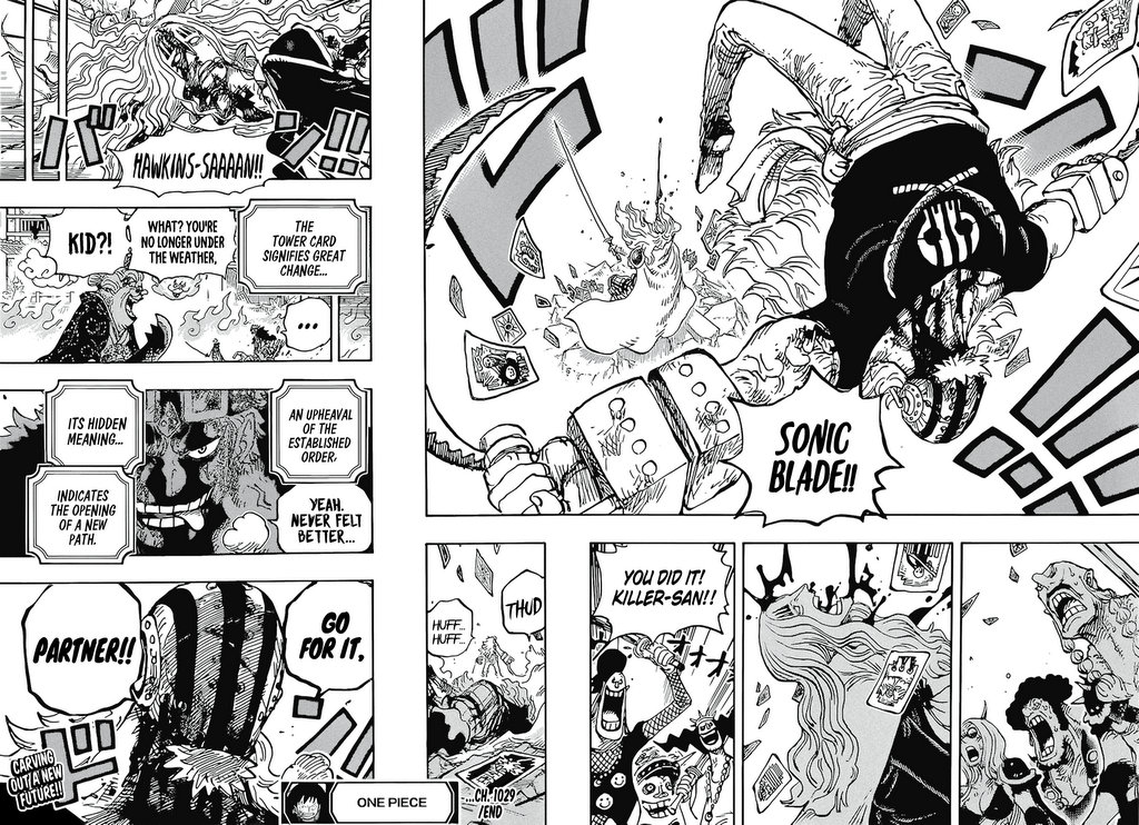 One Piece, Chapter 1029 image 15