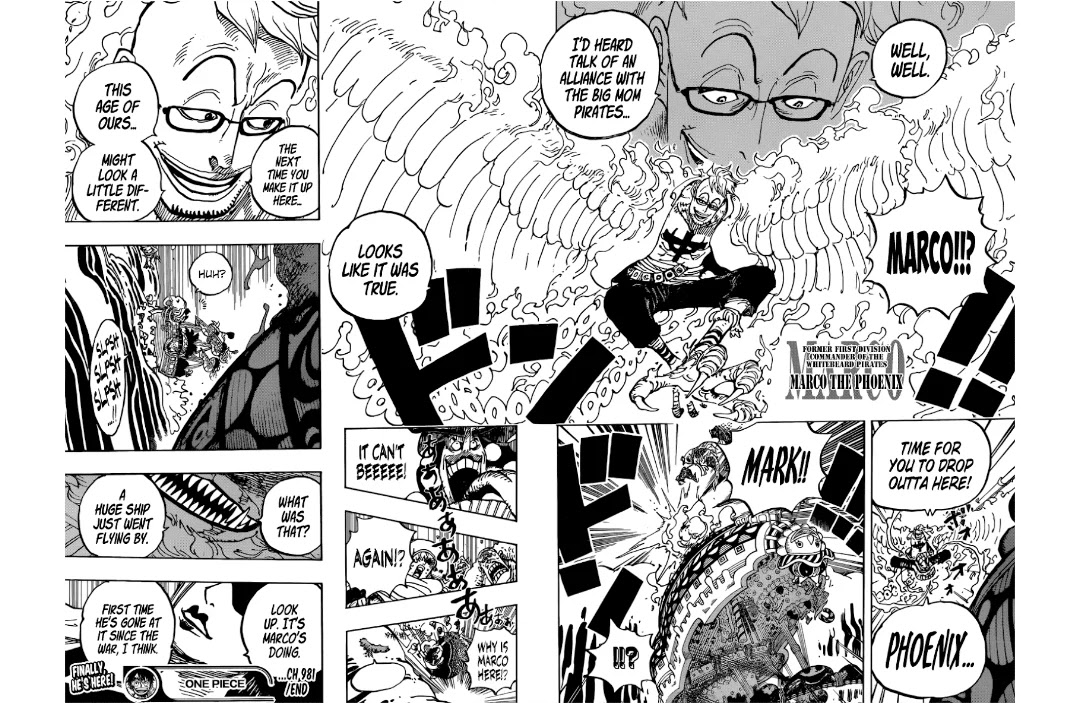 One Piece, Chapter 981 image 16