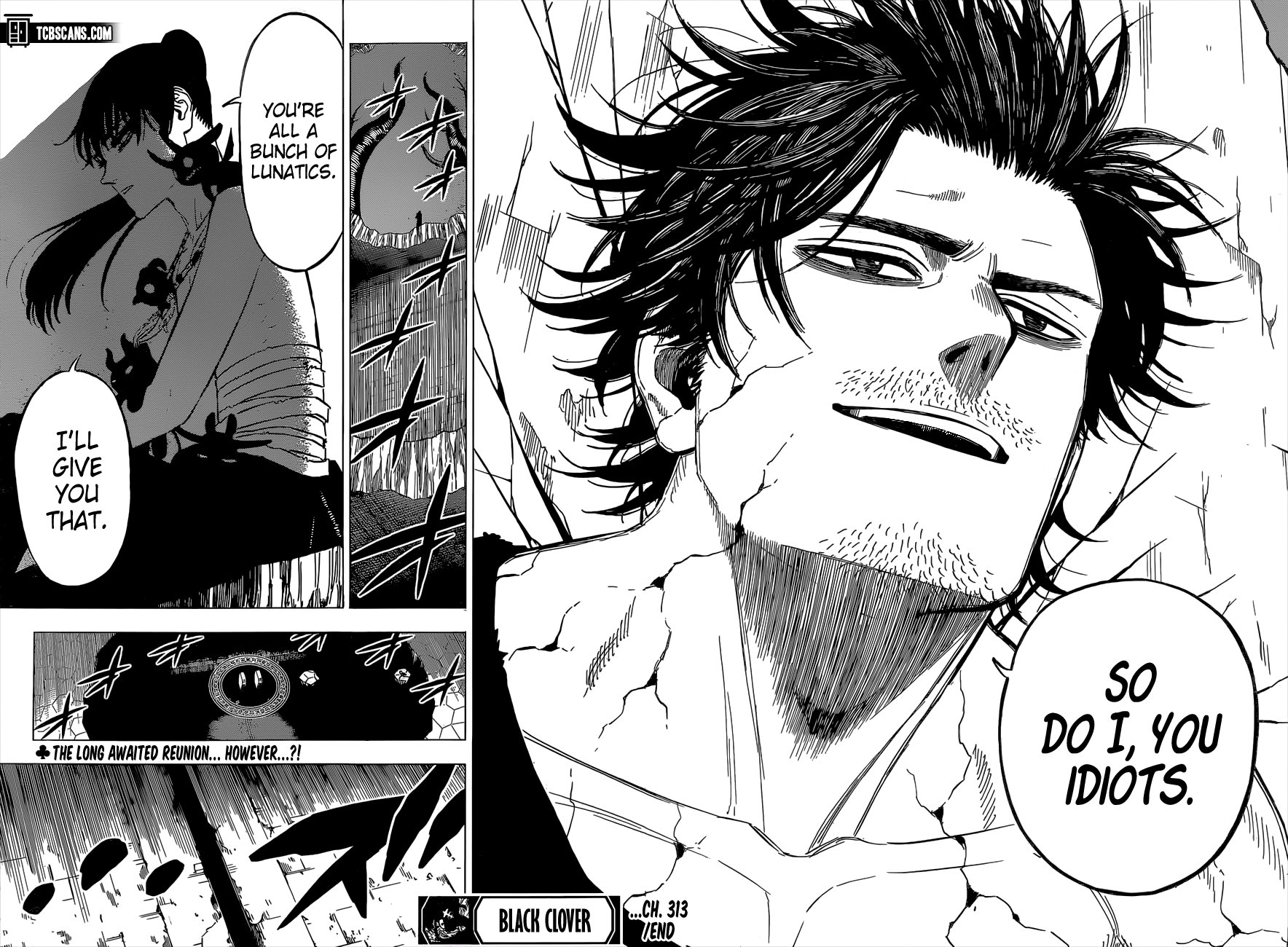 Black Clove, Chapter 313 image 12
