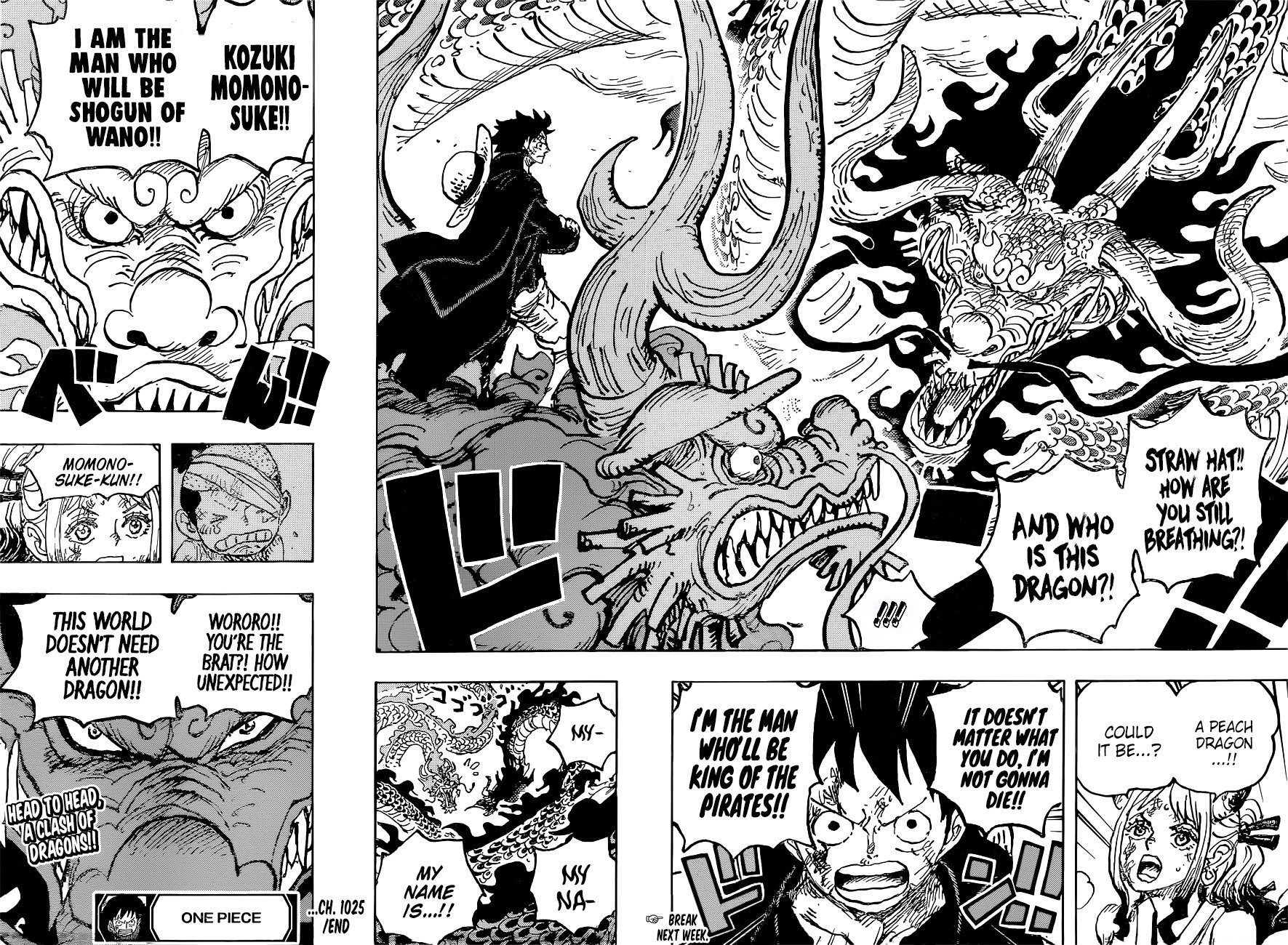 One Piece, Chapter 1025 image 16