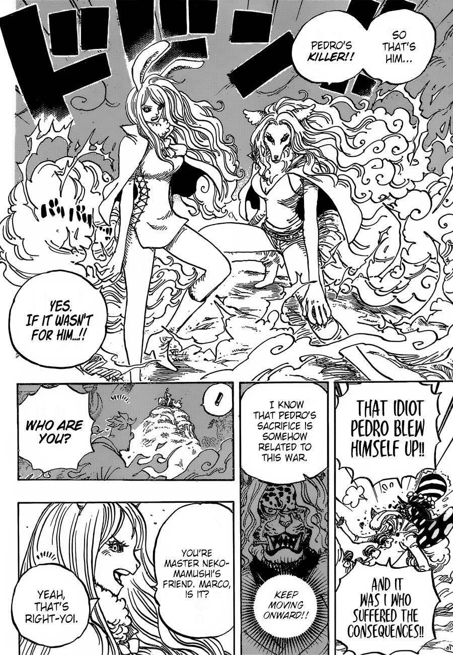 One Piece, Chapter 995 image 05