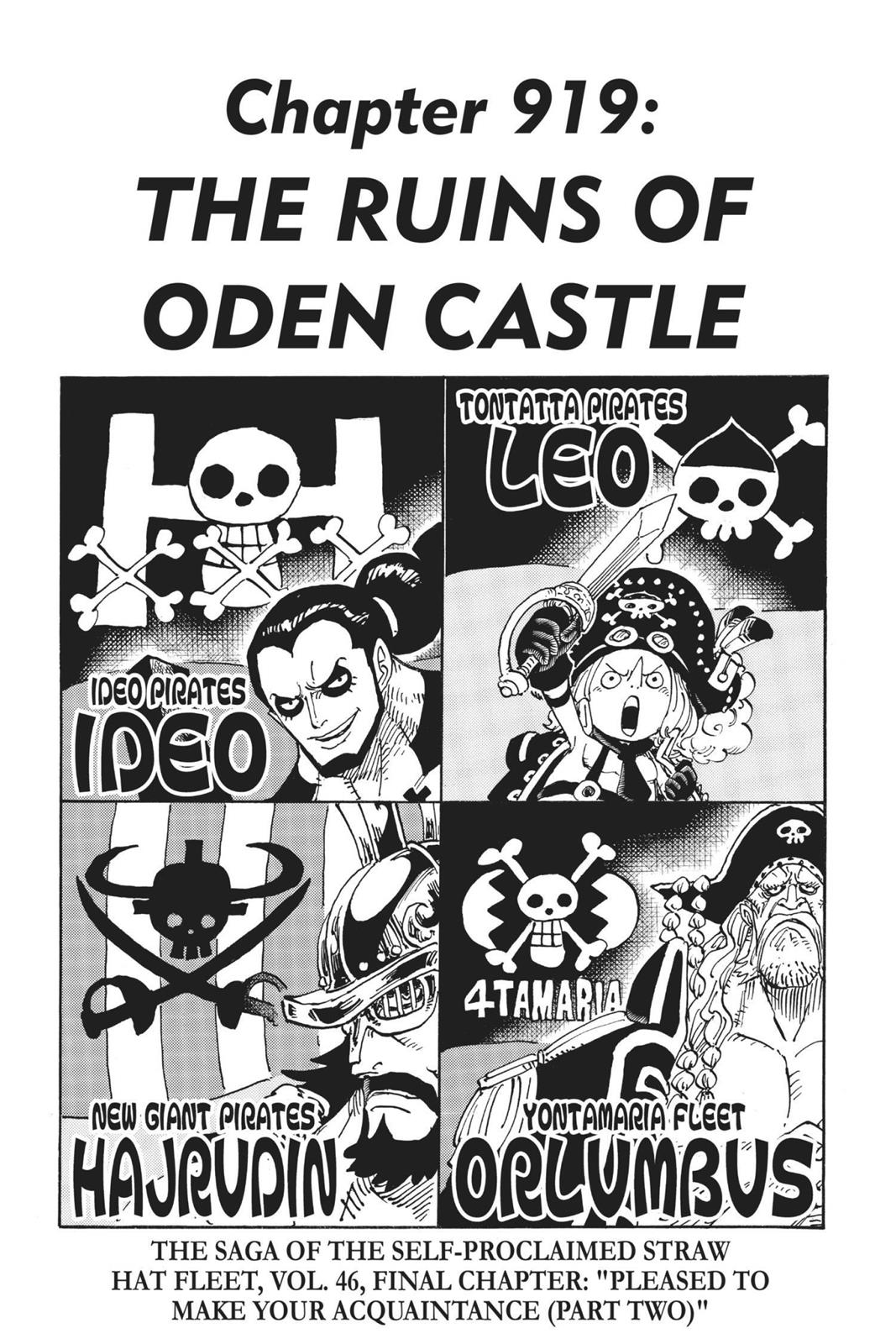 One Piece, Chapter 919 image 01