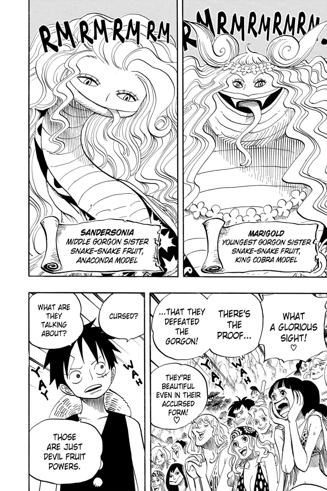 One Piece, Chapter 519 image 002