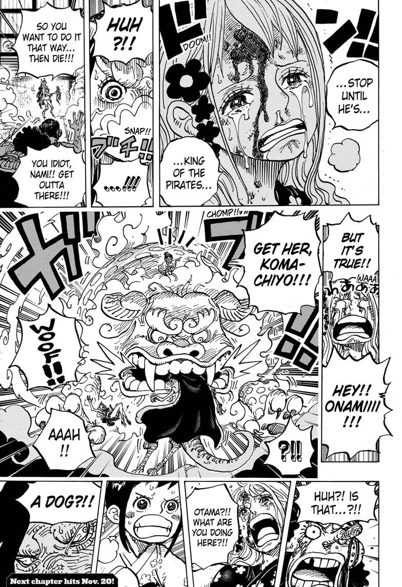 One Piece, Chapter 995 image 016