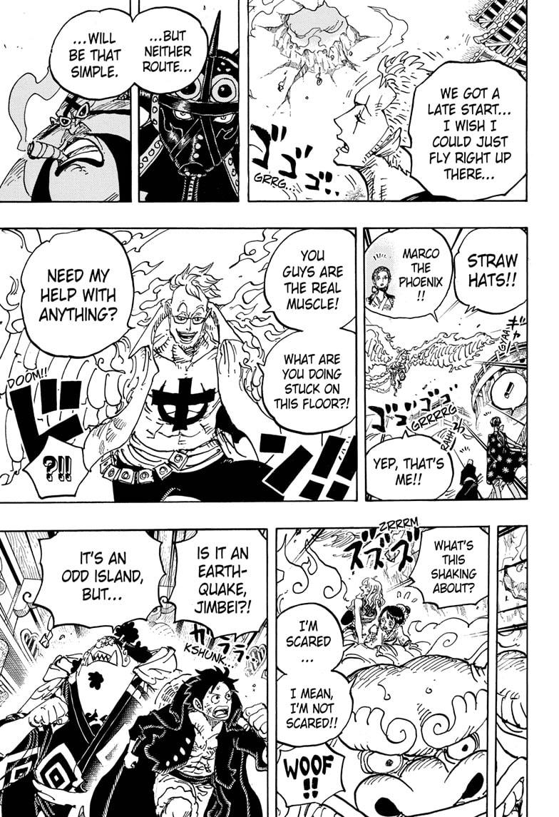 One Piece, Chapter 997 image 013