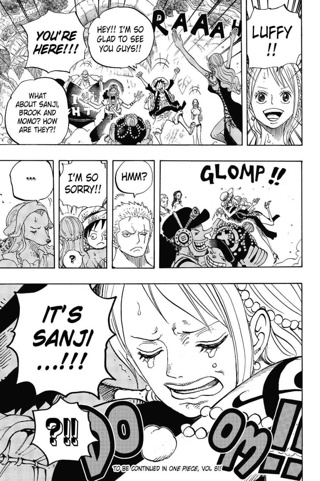 One Piece, Chapter 806 image 016