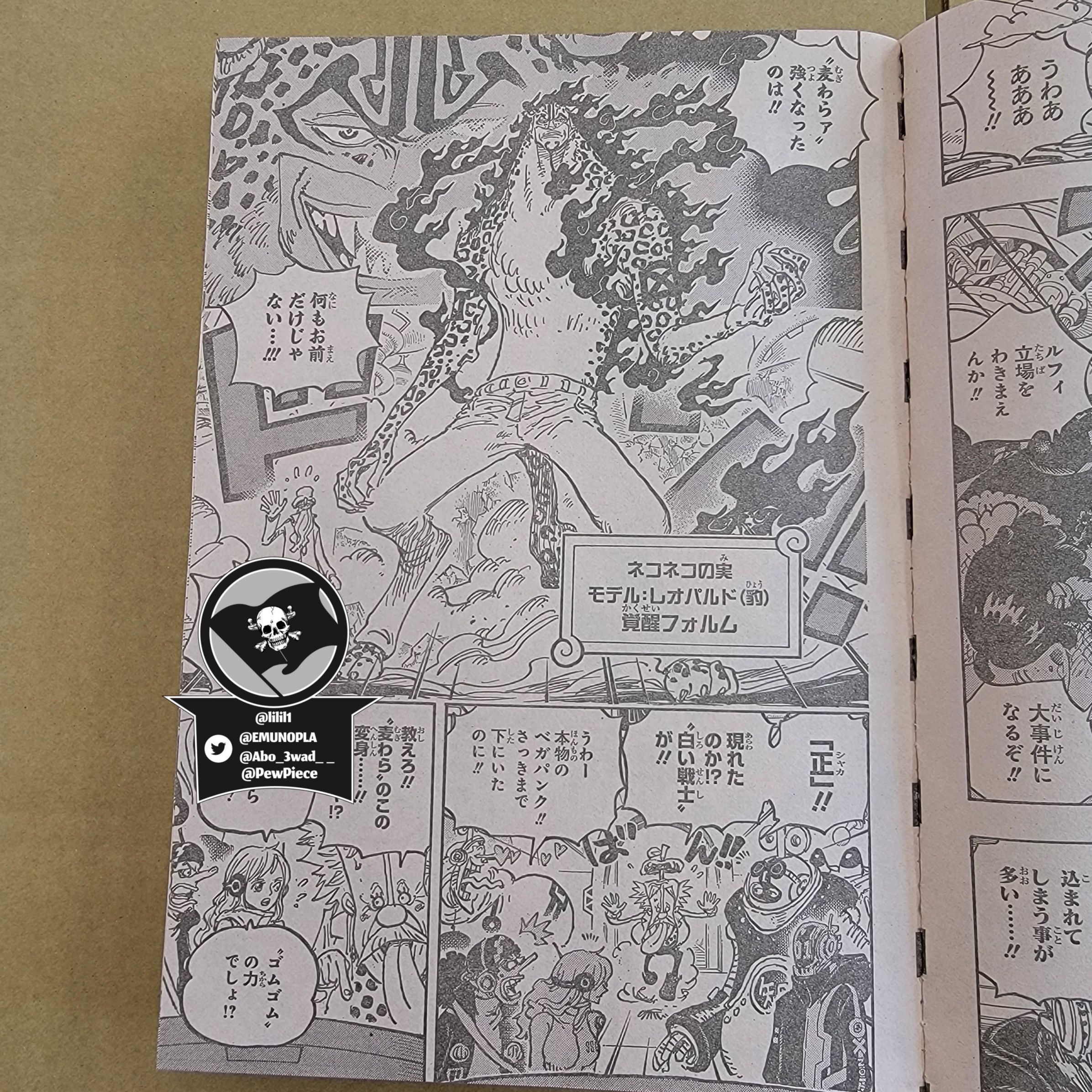 One Piece, Chapter 1069 image 09