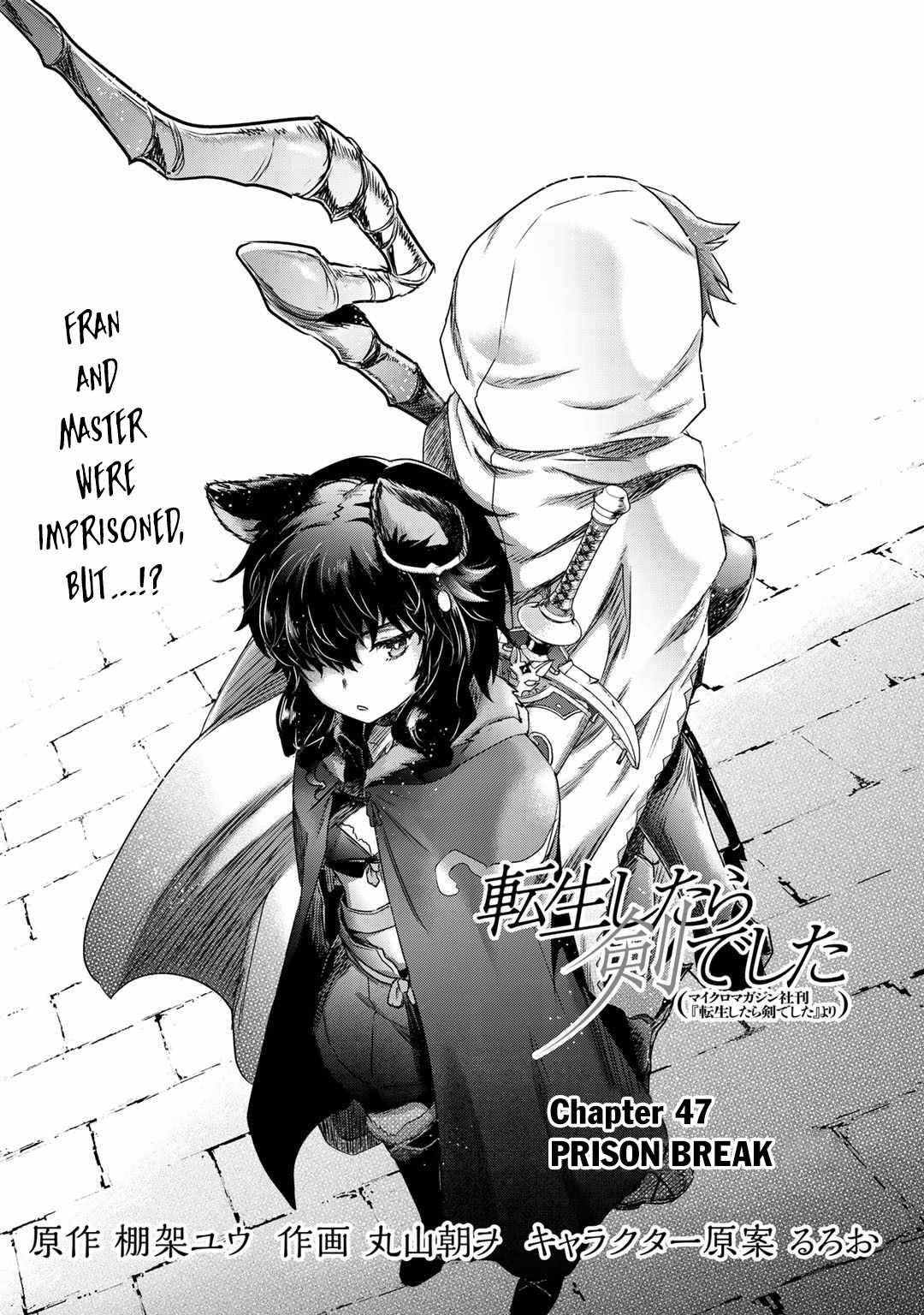 Tensei shitara ken deshita web novel