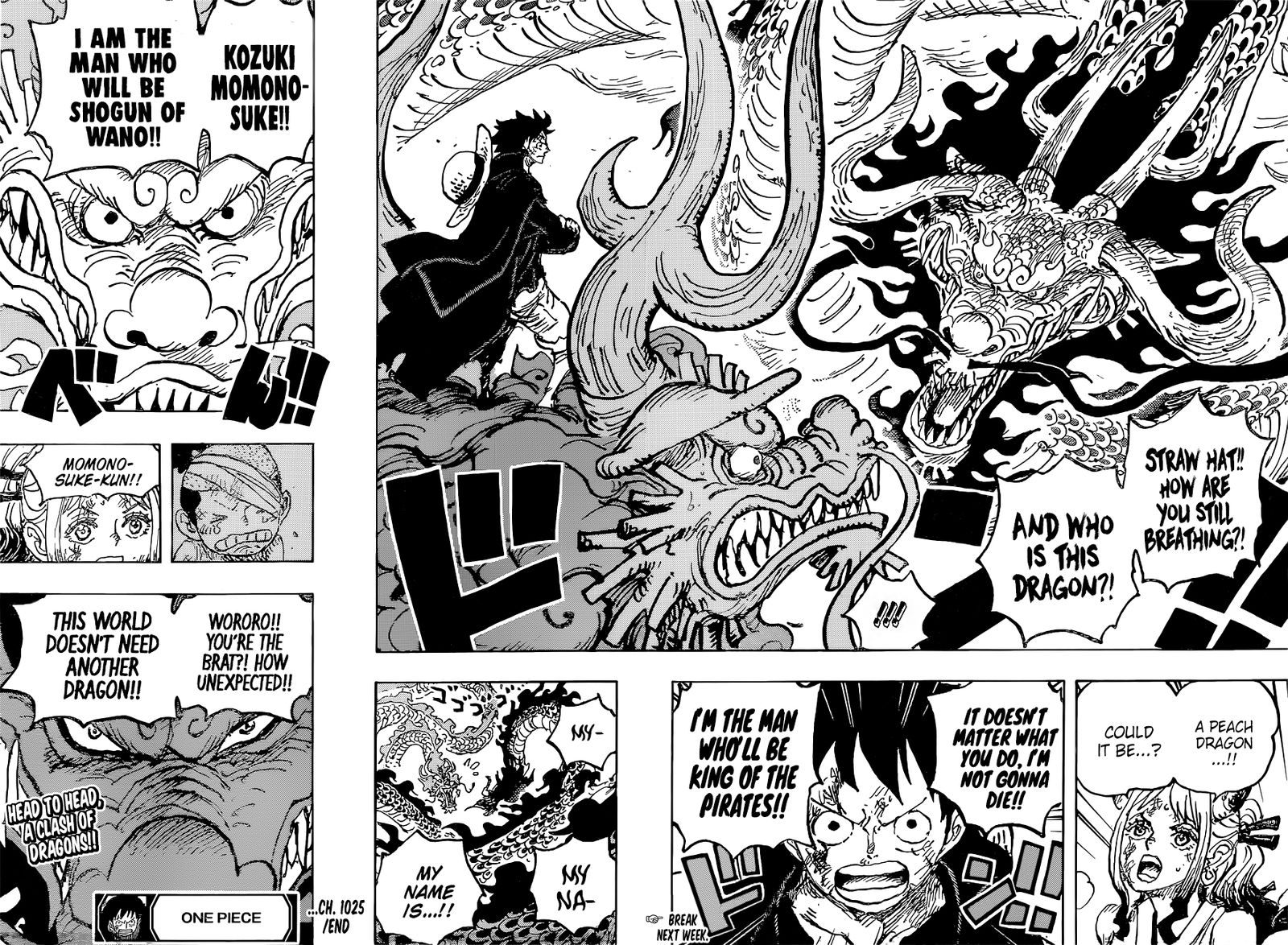 One Piece, Chapter 1025 image 15