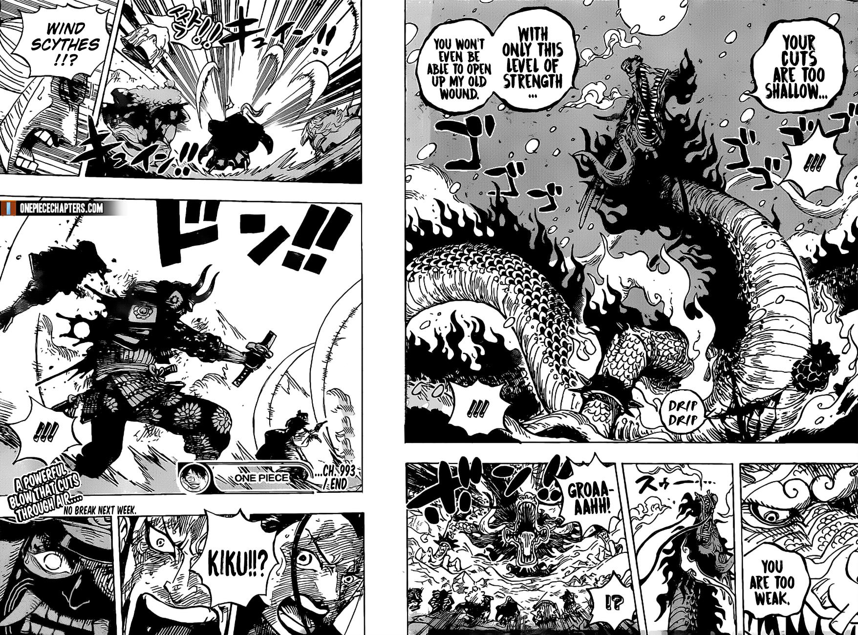 One Piece, Chapter 993 image 15