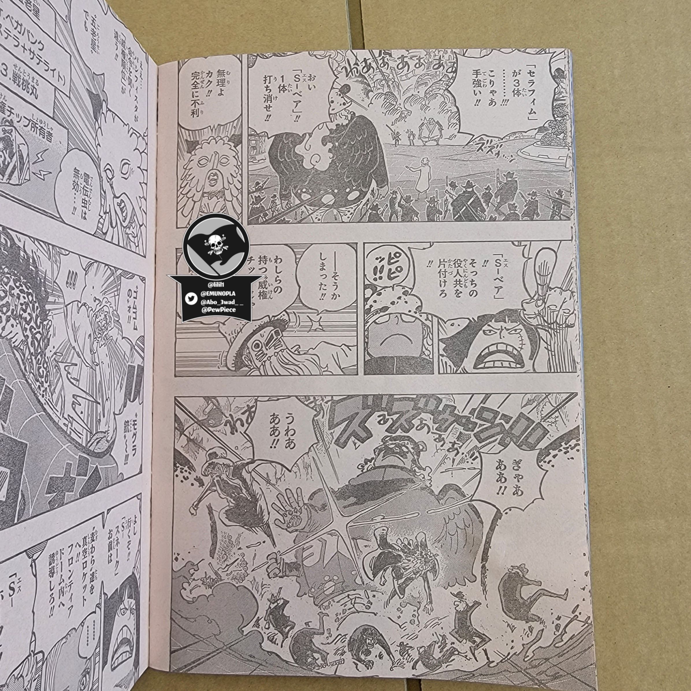One Piece, Chapter 1069 image 13