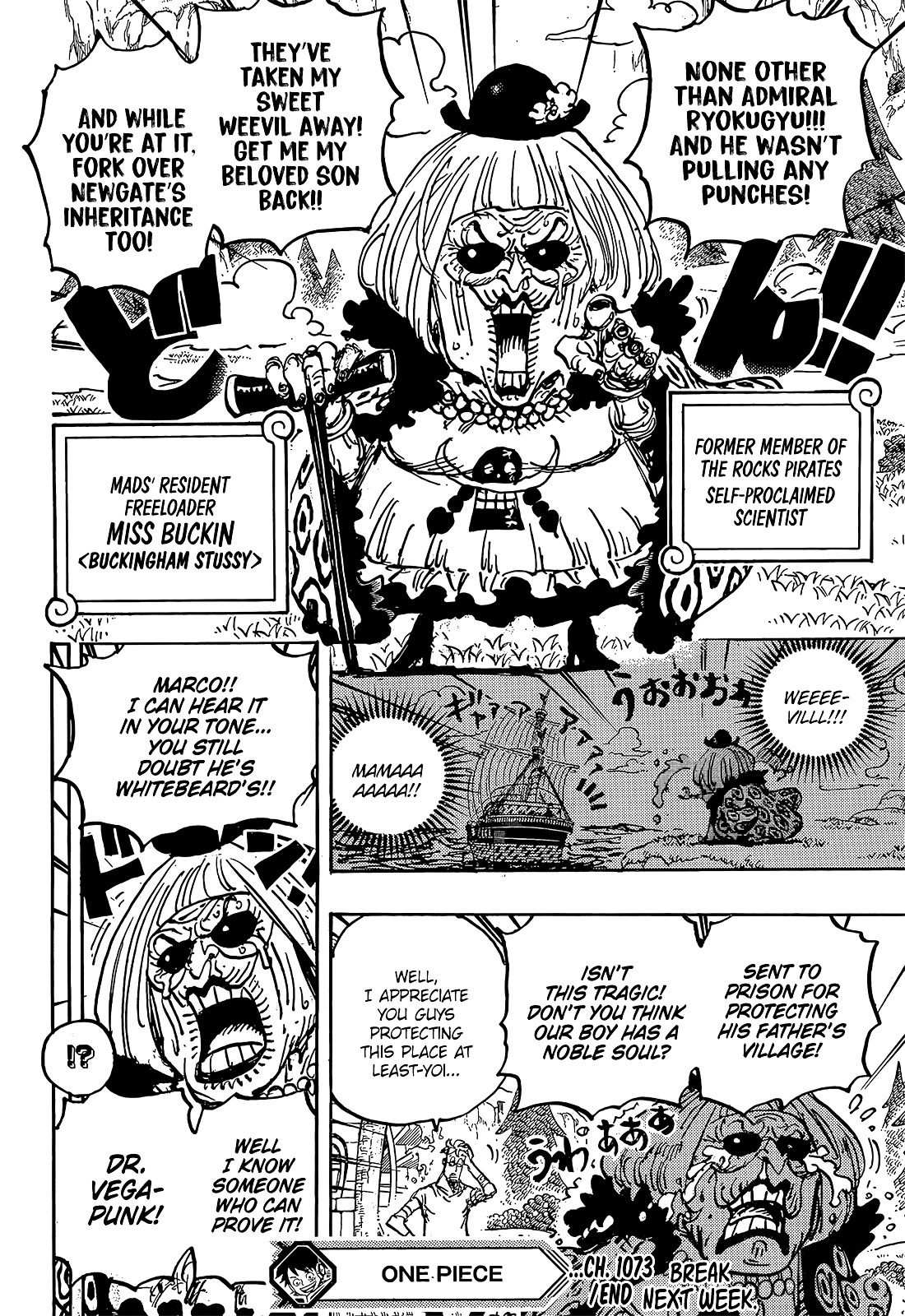 One Piece, Chapter 1073 Miss Buckingham Stussy image 15