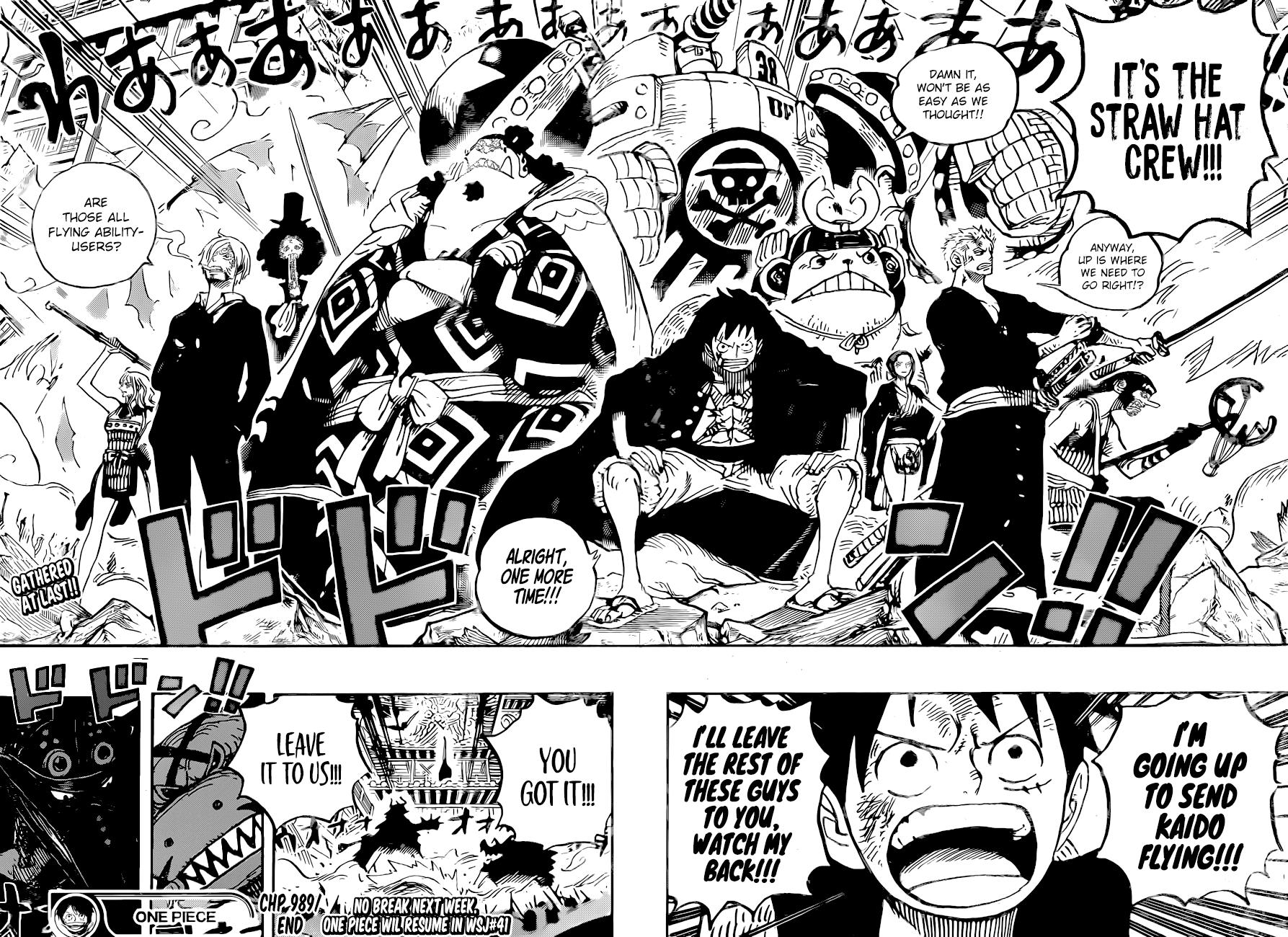One Piece, Chapter 989 image 14
