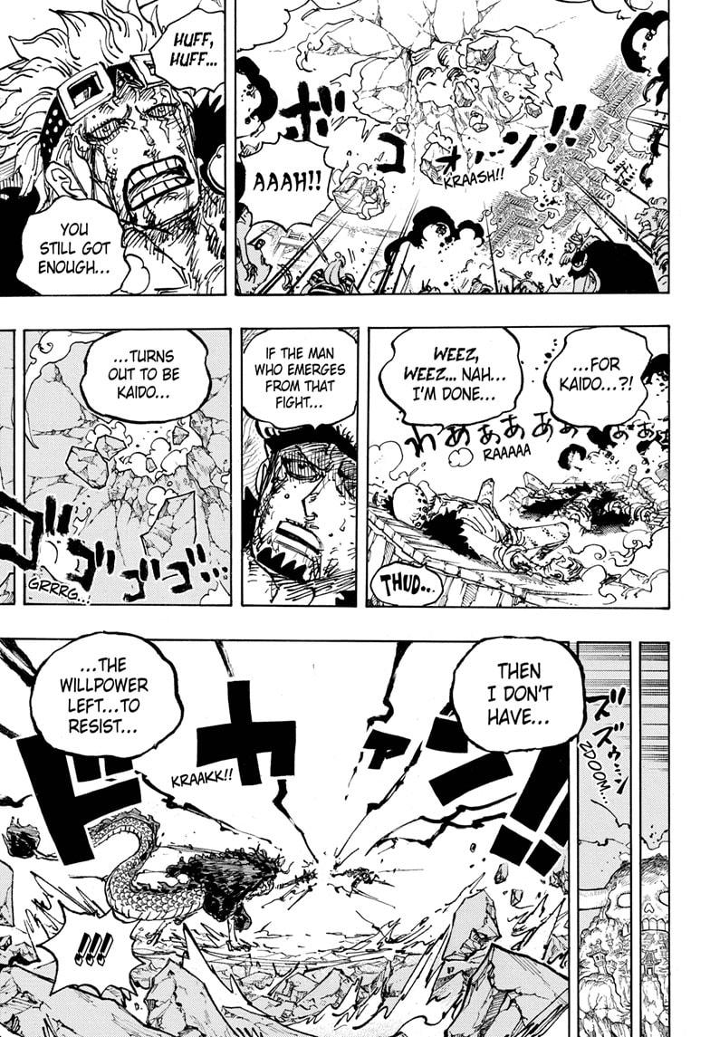 One Piece, Chapter 1041 image 13
