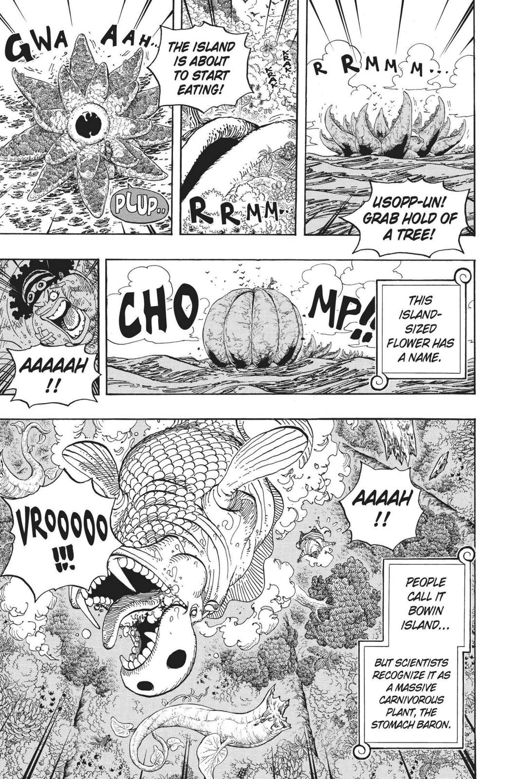 One Piece, Chapter 591 image 15