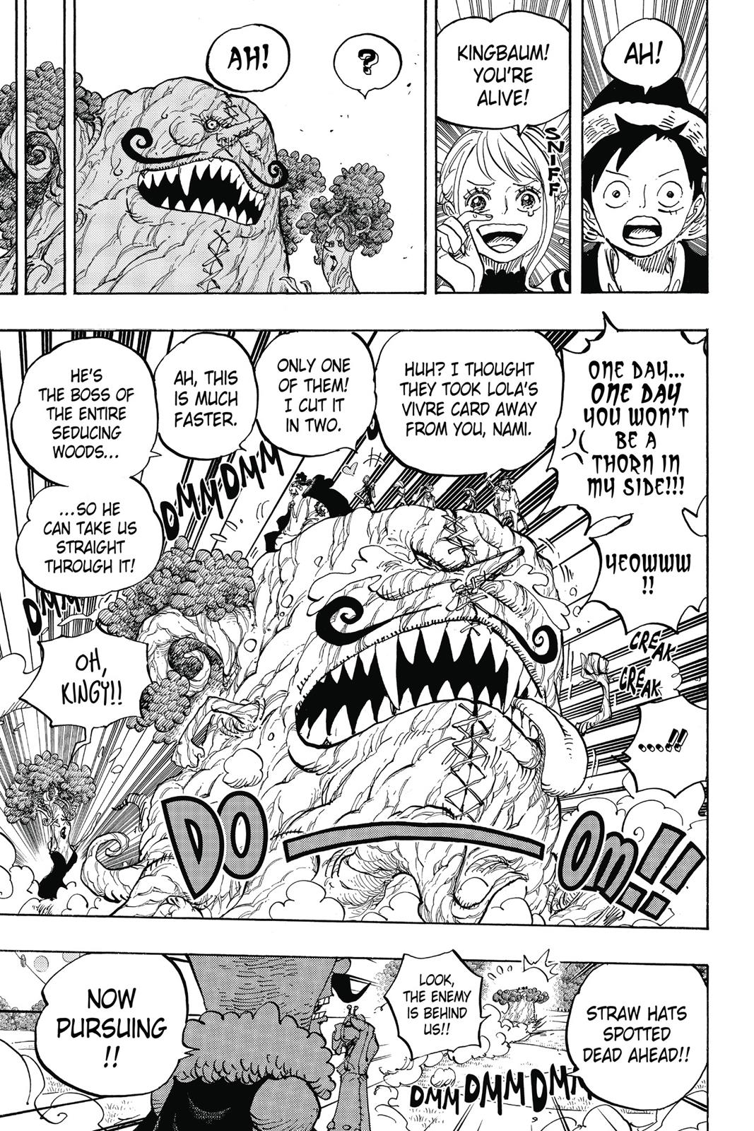 One Piece, Chapter 873 image 014